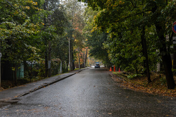 Naklejka premium Empty asphalt road stretching through a lush green park alley in autumn