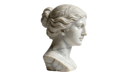 Fototapeta premium Classical marble bust of a woman with elegant hairstyle, isolated on transparent background