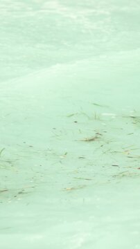 Gently lapping sea waves over sandy seabed with seagrass creating a peaceful and abstract natural background, perfect for relaxation, meditation, or tropical concepts. Vertical video 