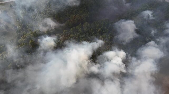 Top down drone view flying over thick white smoke billowing from wildfire burning in dense pine forest near Laguna Negra in Rocha, Uruguay