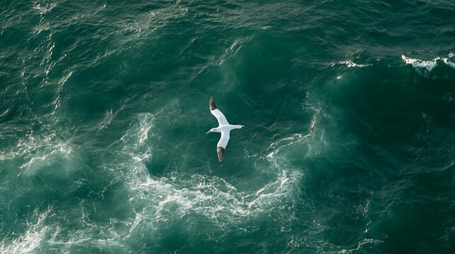 Majestic white seabird soaring high above dark emerald green churning ocean waves