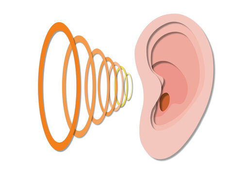 Hearing sensitivity, conceptual illustration