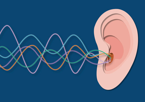 Hearing sensitivity, conceptual illustration