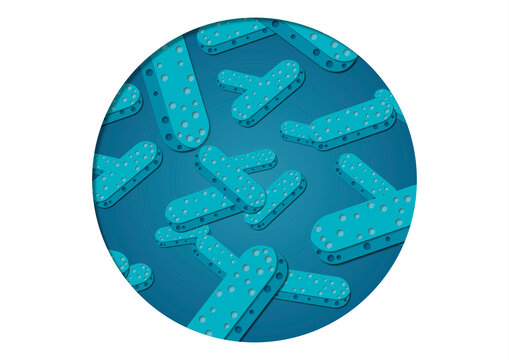 Bacillus bacteria, illustration