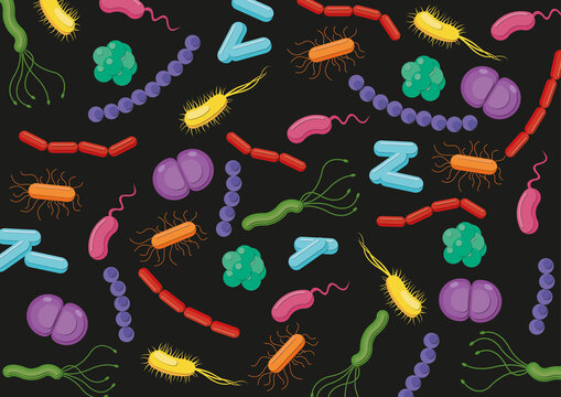 Assorted bacteria, illustration