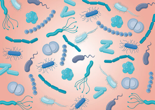 Assorted bacteria, illustration