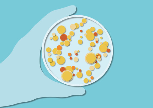 Bacteria in a petri dish, illustration
