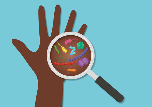 Hand bacteria, conceptual illustration