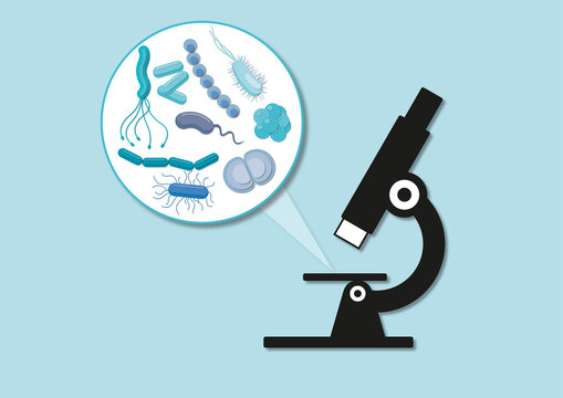 Bacteria under a microscope, illustration