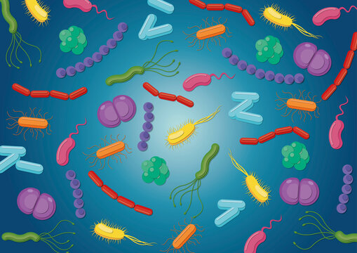 Assorted bacteria, illustration