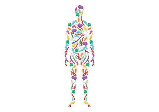 Human microbiota, conceptual illustration