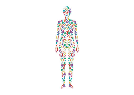 Human microbiota, conceptual illustration