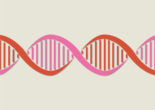 DNA molecule, conceptual illustration
