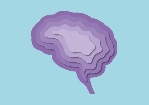 Human brain, illustration