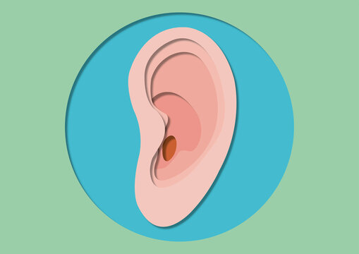 Ear, illustration