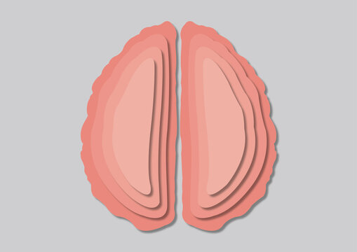 Human brain, illustration