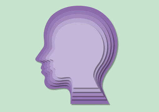 Head, illustration
