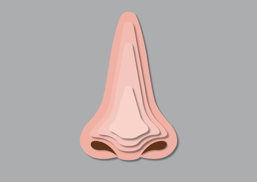 Human nose, illustration