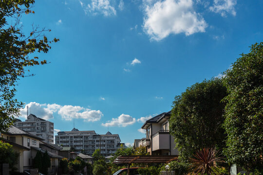晴れた日の住宅地