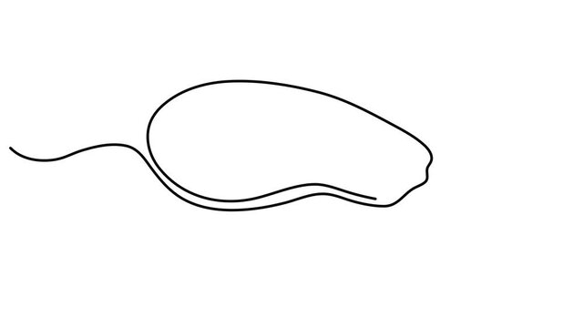 Eggplant zucchini vegetable one line art animation, guinea squash continuous line drawing organic healthy food grocery shopping vegan raw nutrition farm aubergine nutritional  products motion 4k
