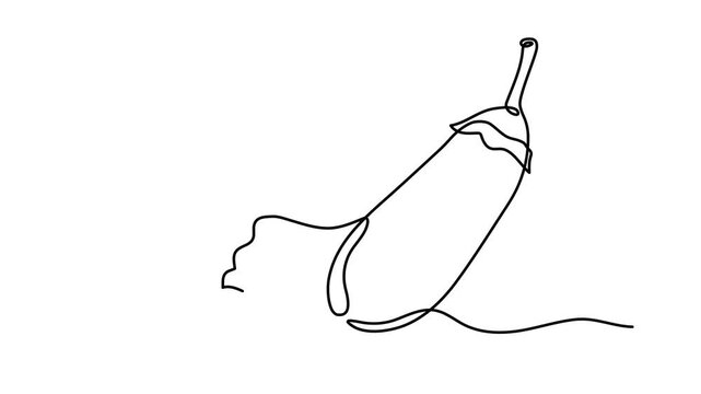 Eggplant zucchini vegetable one line art animation, guinea squash continuous line drawing organic healthy food grocery shopping vegan raw nutrition farm aubergine nutritional  products motion 4k
