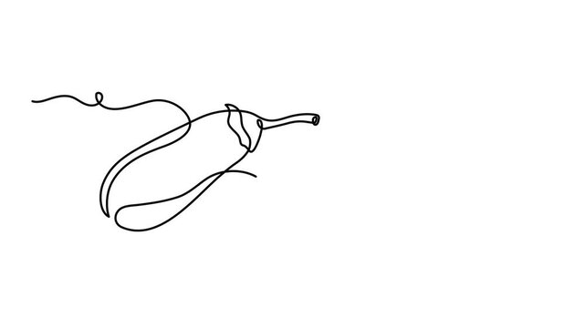 Eggplant zucchini vegetable one line art animation, guinea squash continuous line drawing organic healthy food grocery shopping vegan raw nutrition farm aubergine nutritional  products motion 4k
