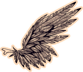 Fototapeta premium Feathered Wing Sticker