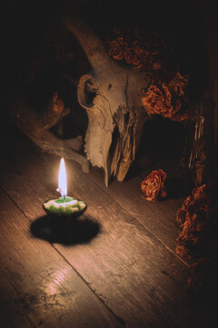 Authentic dark occult altar setup, Samhain autumn ritual. Burning candle on a wooden rude surface and horned animal skull among marigold flowers, vertical image.
