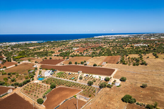 A high aerial view captures the rural Puglia countryside near Polignano a Mare, showcasing distinct red soil fields, scattered olive trees, and stone walls stretching towards the deep blue Adriatic