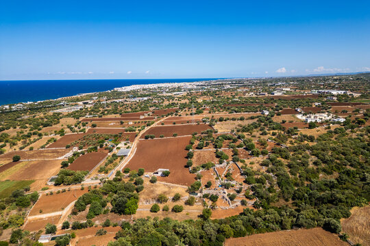 A high aerial view captures the rural Puglia countryside near Polignano a Mare, showcasing distinct red soil fields, scattered olive trees, and stone walls stretching towards the deep blue Adriatic