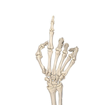 Realistic Halloween Skeleton Hand Pointing Gesture PNG Cutout