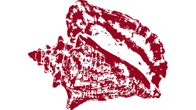 Queen Conch Gyotaku fishing ink print 003
