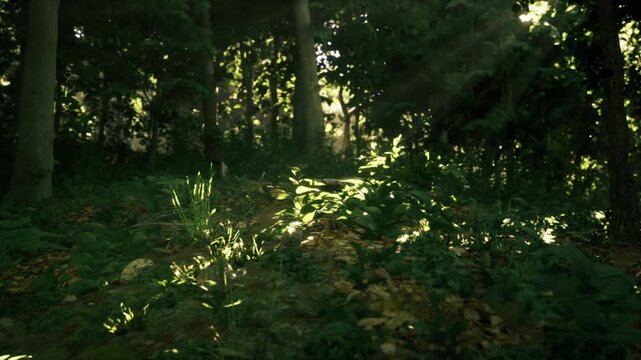 Dappled Czechia forest path bathed in afternoon light, scattered bright patches across leafstrewn ground, gentle incline and leafy canopy suggesting quiet