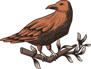 Fototapeta premium Raven Perched Branch