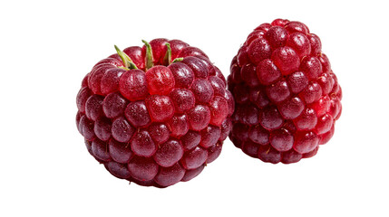 Two ripe fresh red raspberries with green stem and textured drupelets © Matthias
