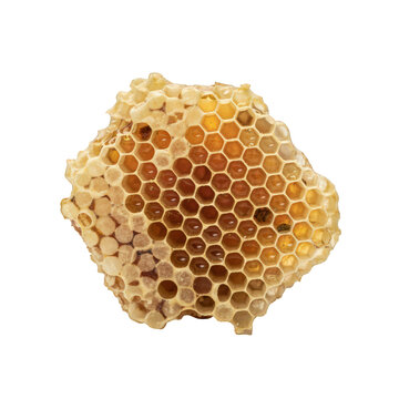 Natural honeycomb png beecomb png golden honey cell png beeswax png isolated on transparent background for organic food product design