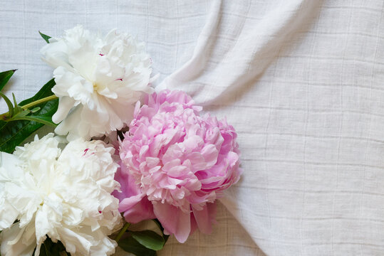 Elegant white and pink peony flowers arranged on airy white linen fabric, delicate spring floral composition with soft natural light and generous copy space for wedding, greeting card design