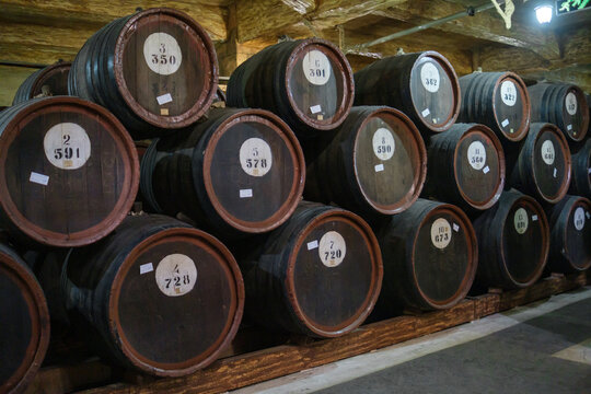 Numbered wooden barrels are stacked in rows inside a dim cellar, surrounded by aged timber beams, dark walls, and a stone floor