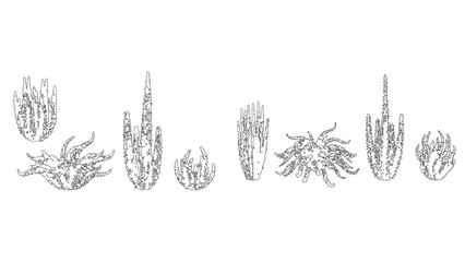 Obraz premium set of vine stroke vector side view plant jungle foliage illustration vector design.