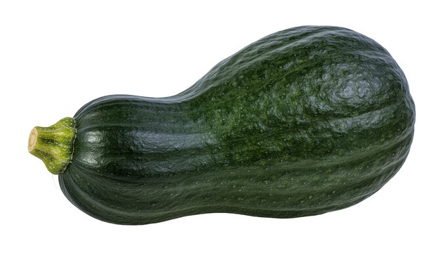 Dark green zucchini with ribbed texture, isolated on transparent background