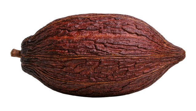 Brown textured cacao pod with ribbed surface, isolated on transparent background