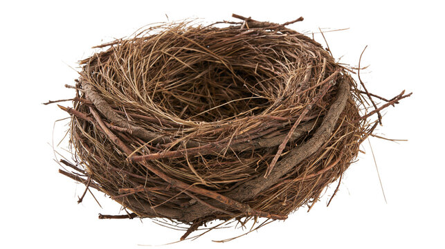Empty bird nest made of woven brown twigs and dry grass
