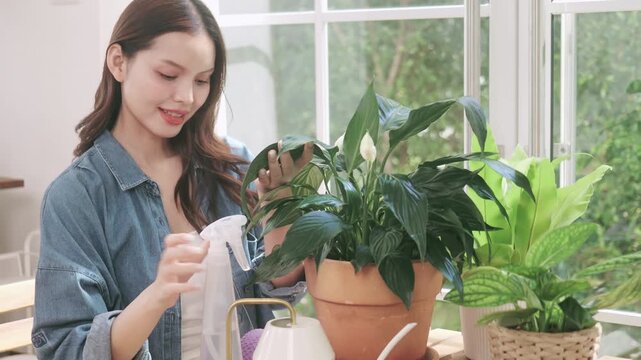 Happy young woman taking care of indoor plants at home.