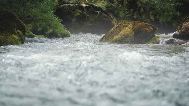 Close-up of a clear mountain river flowing through a lush green valley with moss-covered rocks, capturing pristine nature, fresh water and the peaceful atmosphere of a wild mountain landscape.