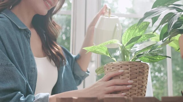 Happy young woman taking care of indoor plants at home.