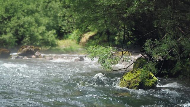 Close-up of a clear mountain river flowing through a lush green valley with moss-covered rocks, capturing pristine nature, fresh water and the peaceful atmosphere of a wild mountain landscape.