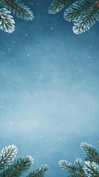 Snow-covered pine boughs bordering soft blue winter sky