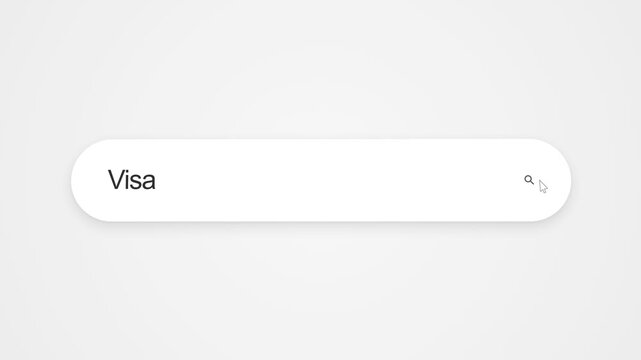 Searching for Visa in a search field, representing online research and web browsing about the global payments technology company