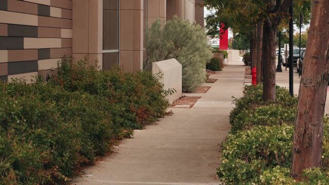 A left to right glide along a sidewalk ends behind a blurred tree trunk.