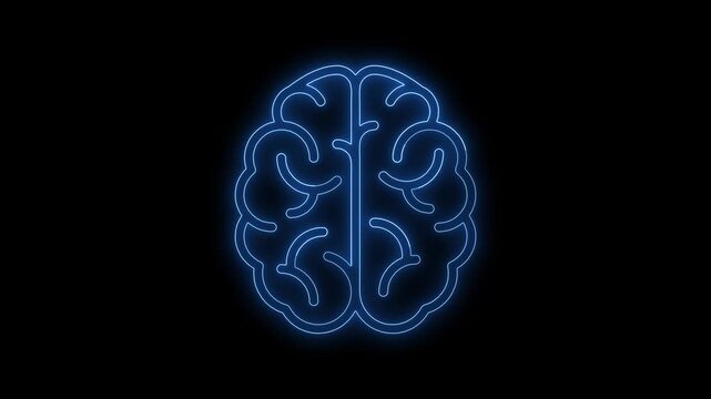 Human Brain and Skull Vector Illustration with Floral Ornament, Heart, Fire, Mind and Love Symbol Design on Transparent Background